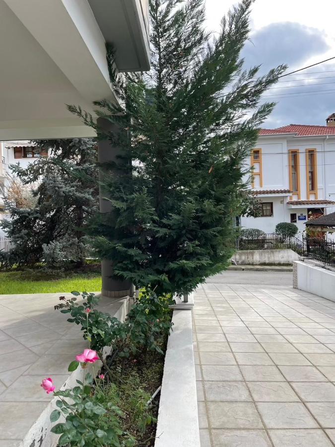 Stema Luxury Apartment Διαμέρισμα Υψηλής Αισθητικής Anatoli  Bagian luar foto